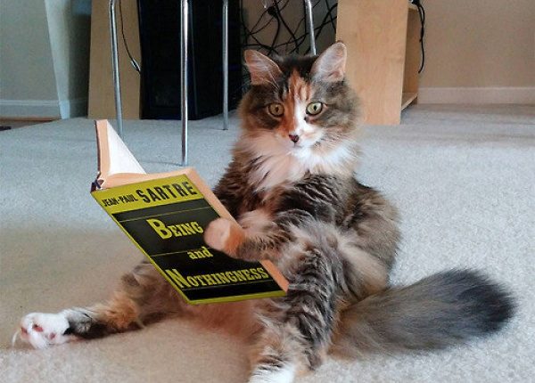Jean Paul Sartre Okuyan Kedi